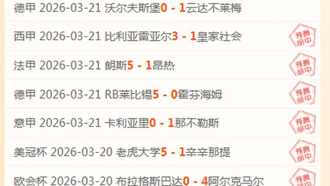 河南嵩山龙门1-0击败武汉队，多拉多进球成疑，约尼奇进球被判无效